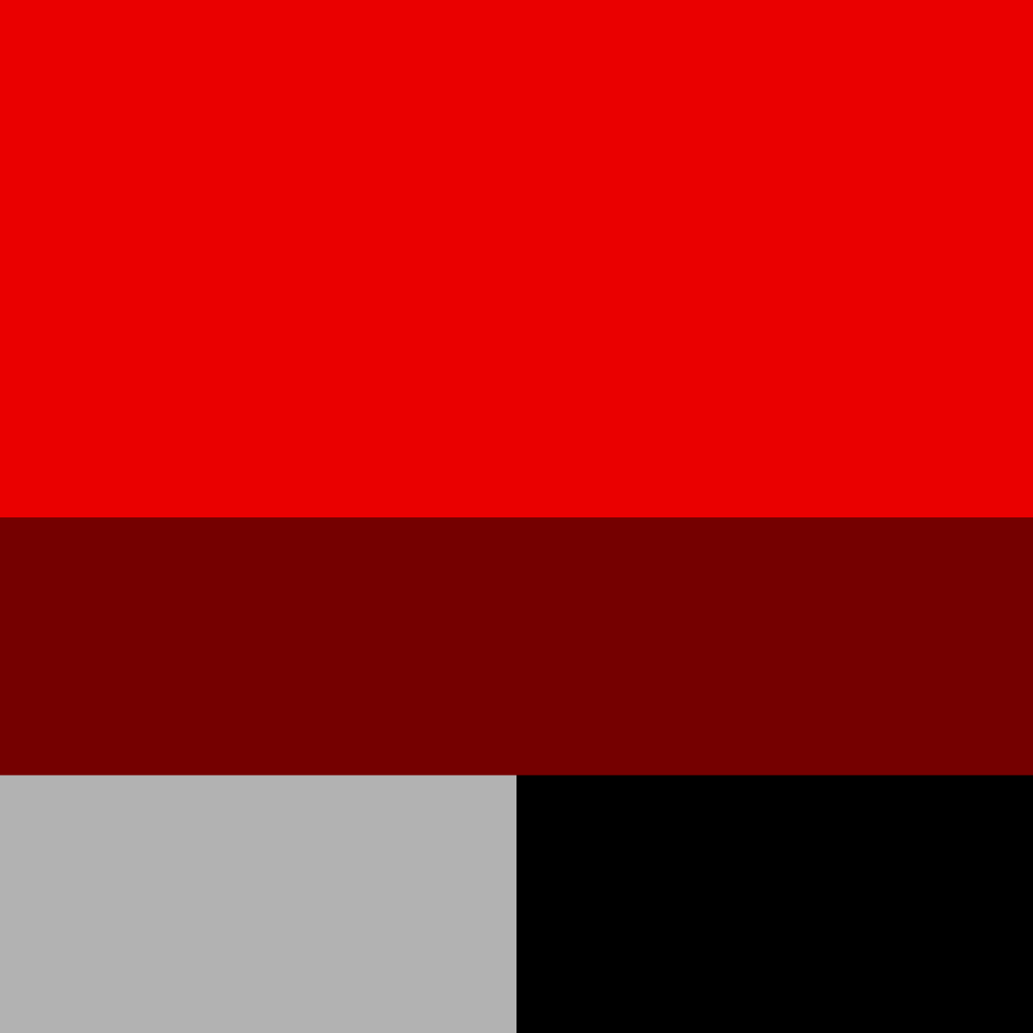 The color palette designed for NEHA showing different shades of red, gray, and black.