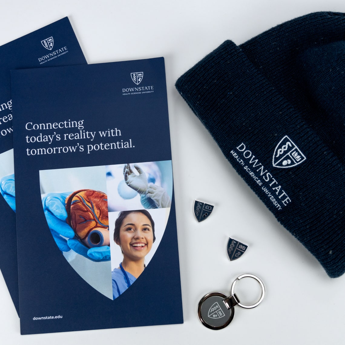 Examples of how the new design system developed for SUNY is applied in different pieces such as brochures, hats, keyholders, and pins