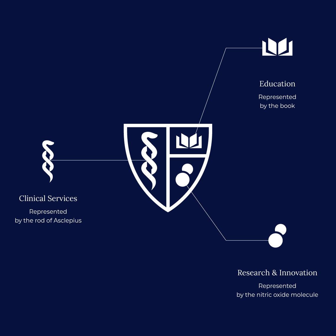 The new logo and it's components explained: MBLM designed a modernized shield that highlighted Downstate’s focus on research, education, and care, to reinvigorating this Medical Center and University