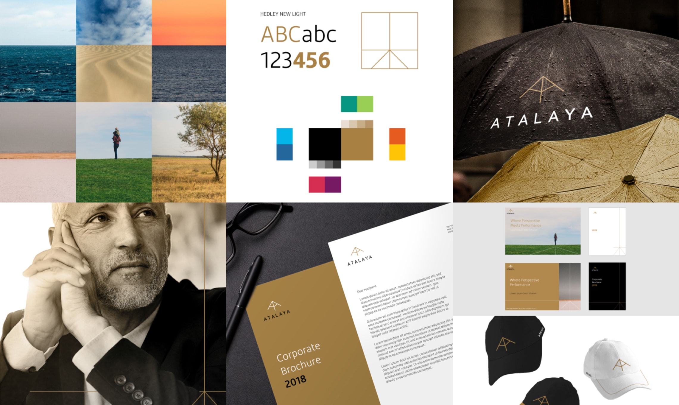 A collection of business cards and brochures showcasing a comprehensive design system.