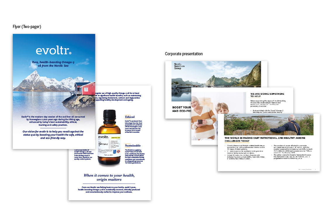 examples of the flyer and the corporate presentation developed for Evoltr