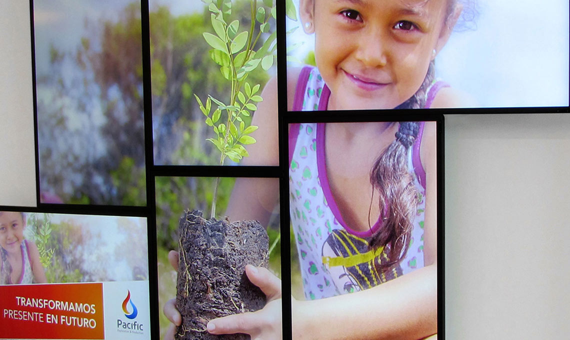 A series of pictures showcasing brand repositioning with a girl holding a tree.