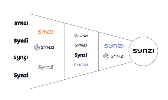 A diagram showcasing the diverse syzi visual identities.
