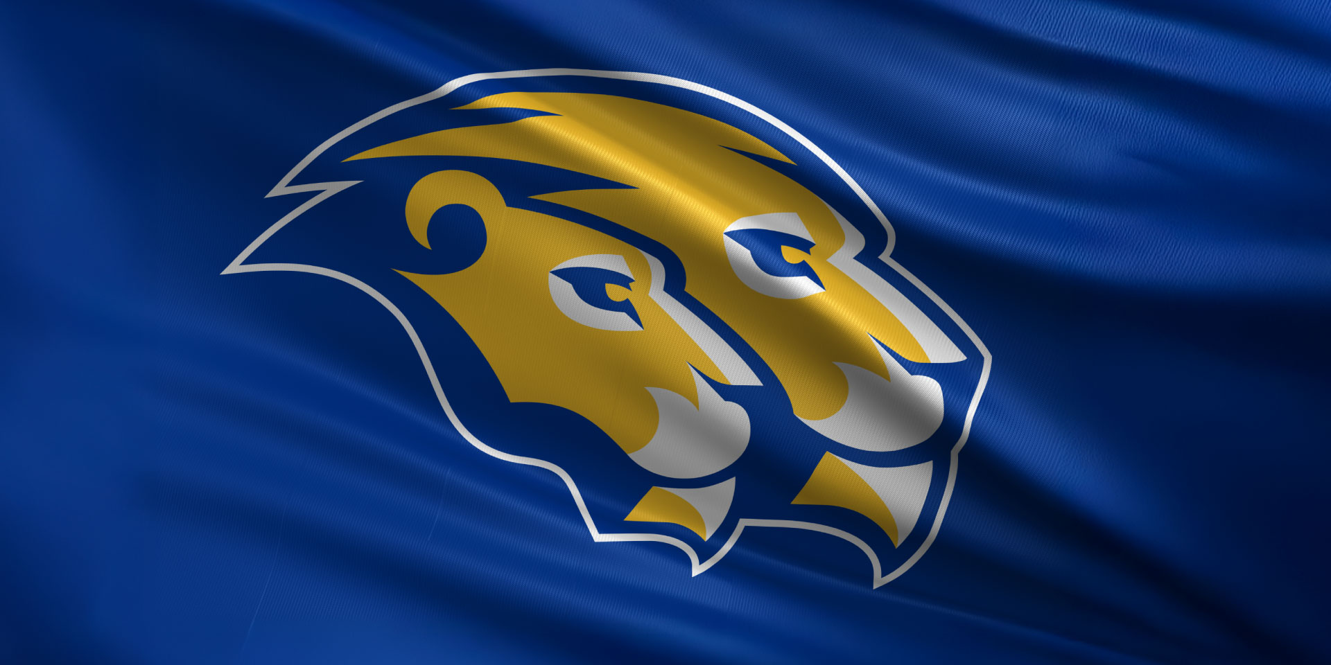 Blue flag featuring a stylized logo of two overlapping yellow lion heads outlined in white, facing right, representing the Hofstra University Rebrand.